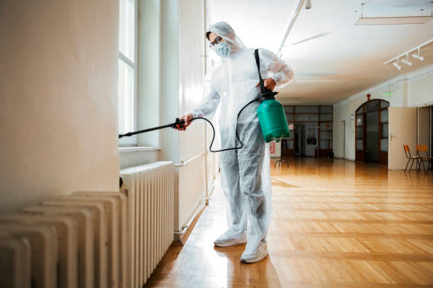 Emergency Pest Control in Citrus Park, AZ